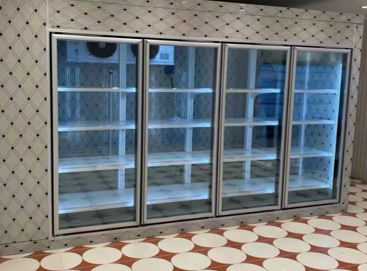 Walk-in cold room glass door system